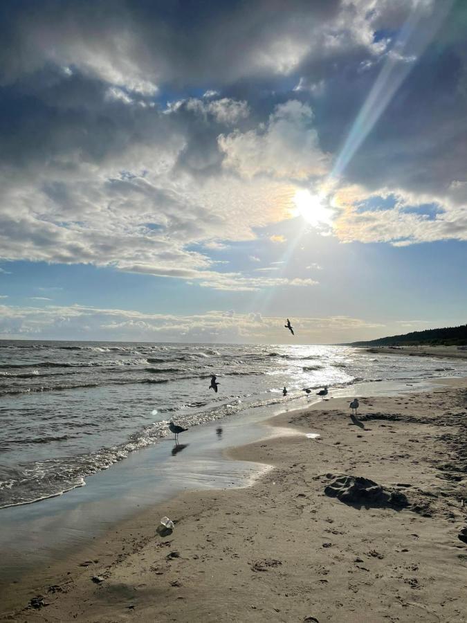 Apartament 15 min od morza Gdańsk Zewnętrze zdjęcie